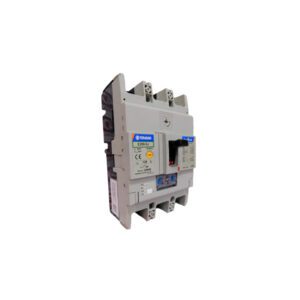 Interruptor Caja Moldeada E250-SJ 4P 250A FC MCCB 25kA Regulable