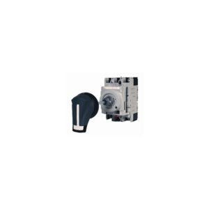 Mando Rotativo Prolongado Para Panel (HS) IP55 125AF